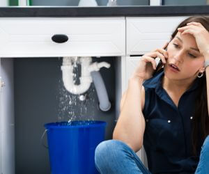 About Plumbers Pros Englewood, FL